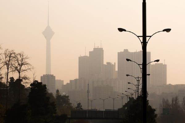 The role of fleet management in the labyrinth of the capital's pollution